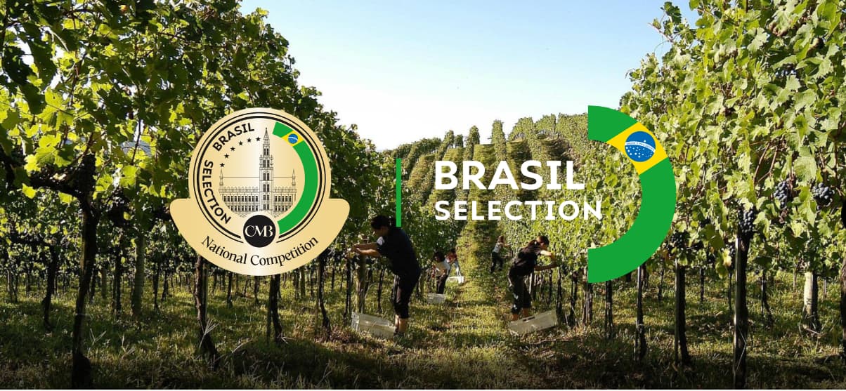 Concours Mondial de Bruxelles • The CMB reveals the best sparkling wines of  the year