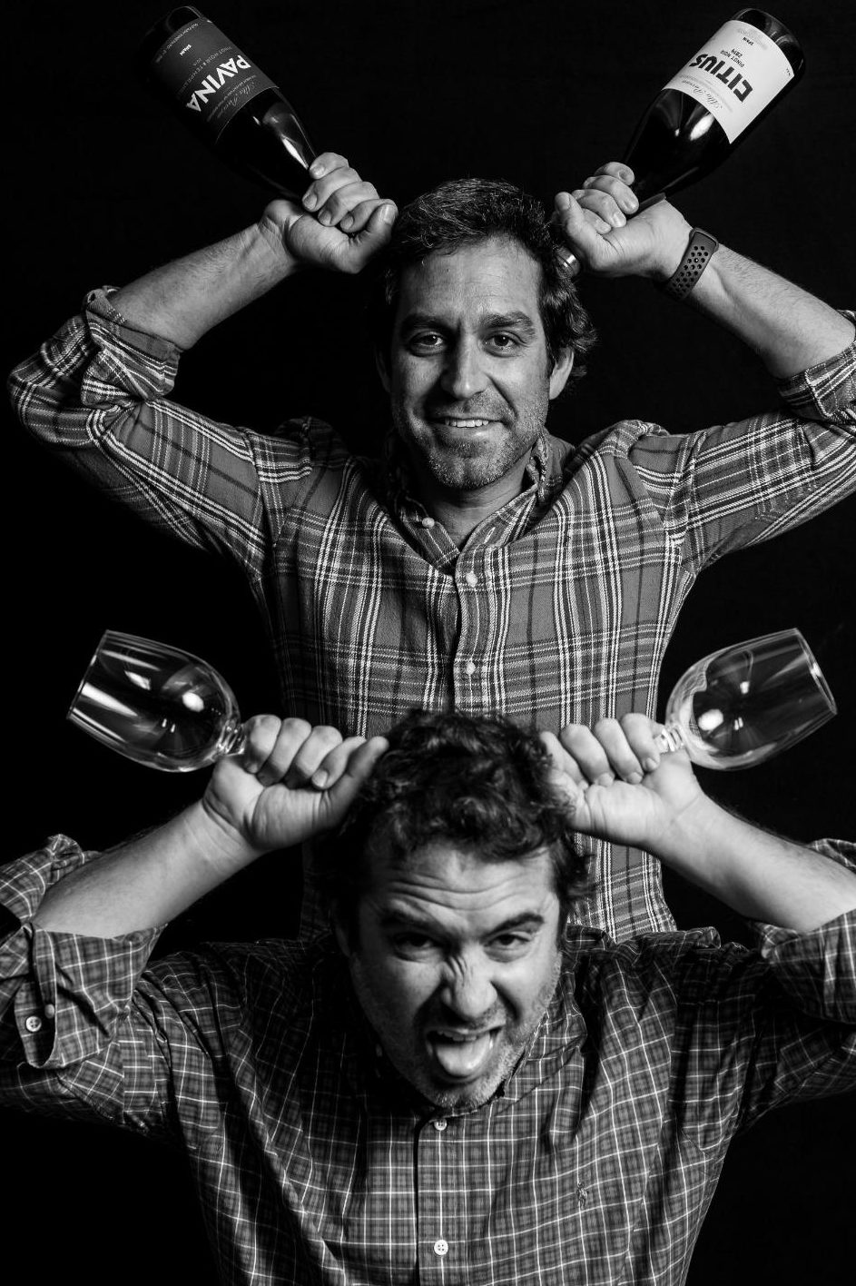 frères Ortega - Alta Pavina