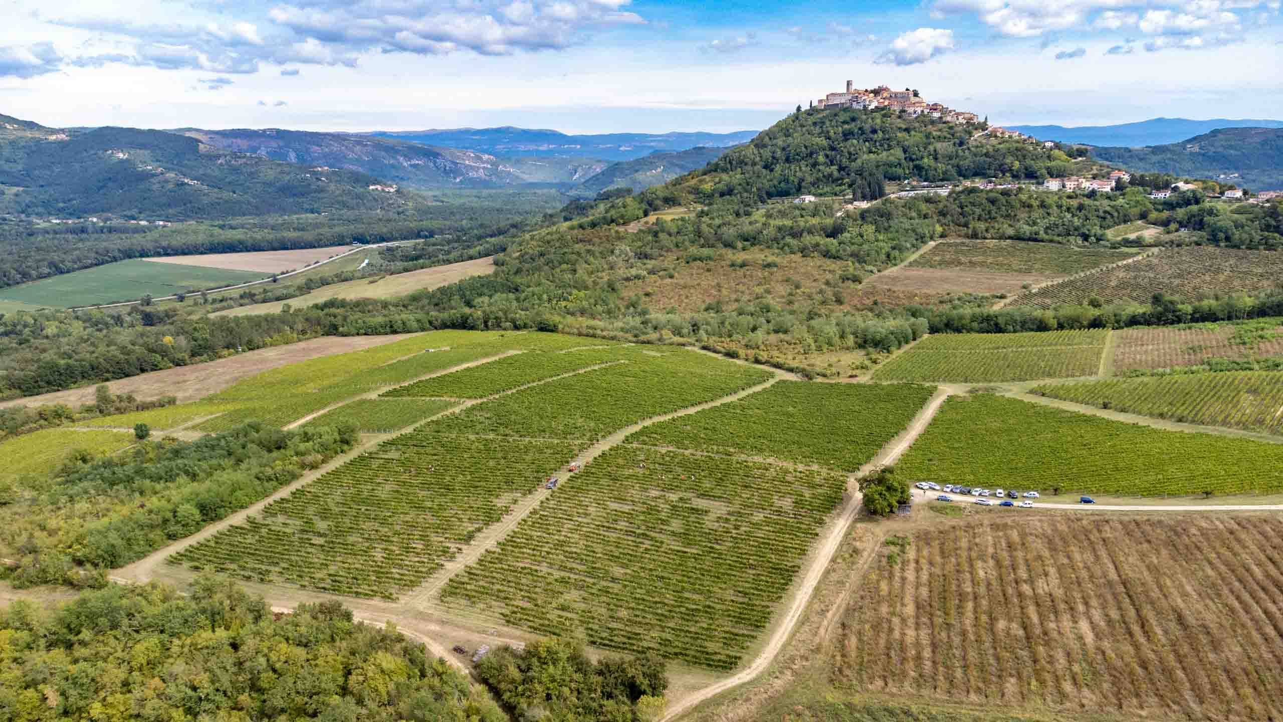Cirò – Calabria’s flagship wine