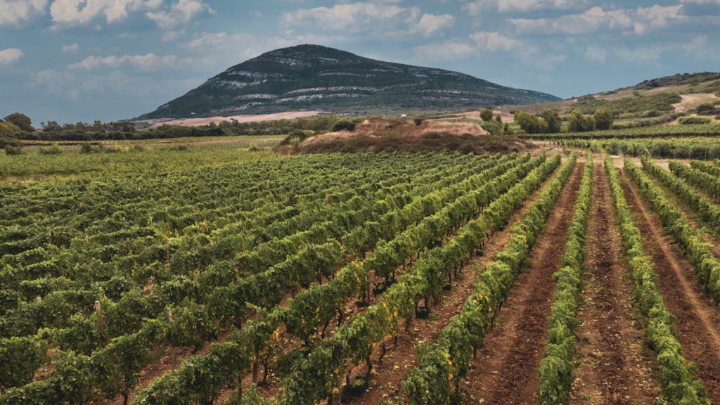 Sardaigne vignobles