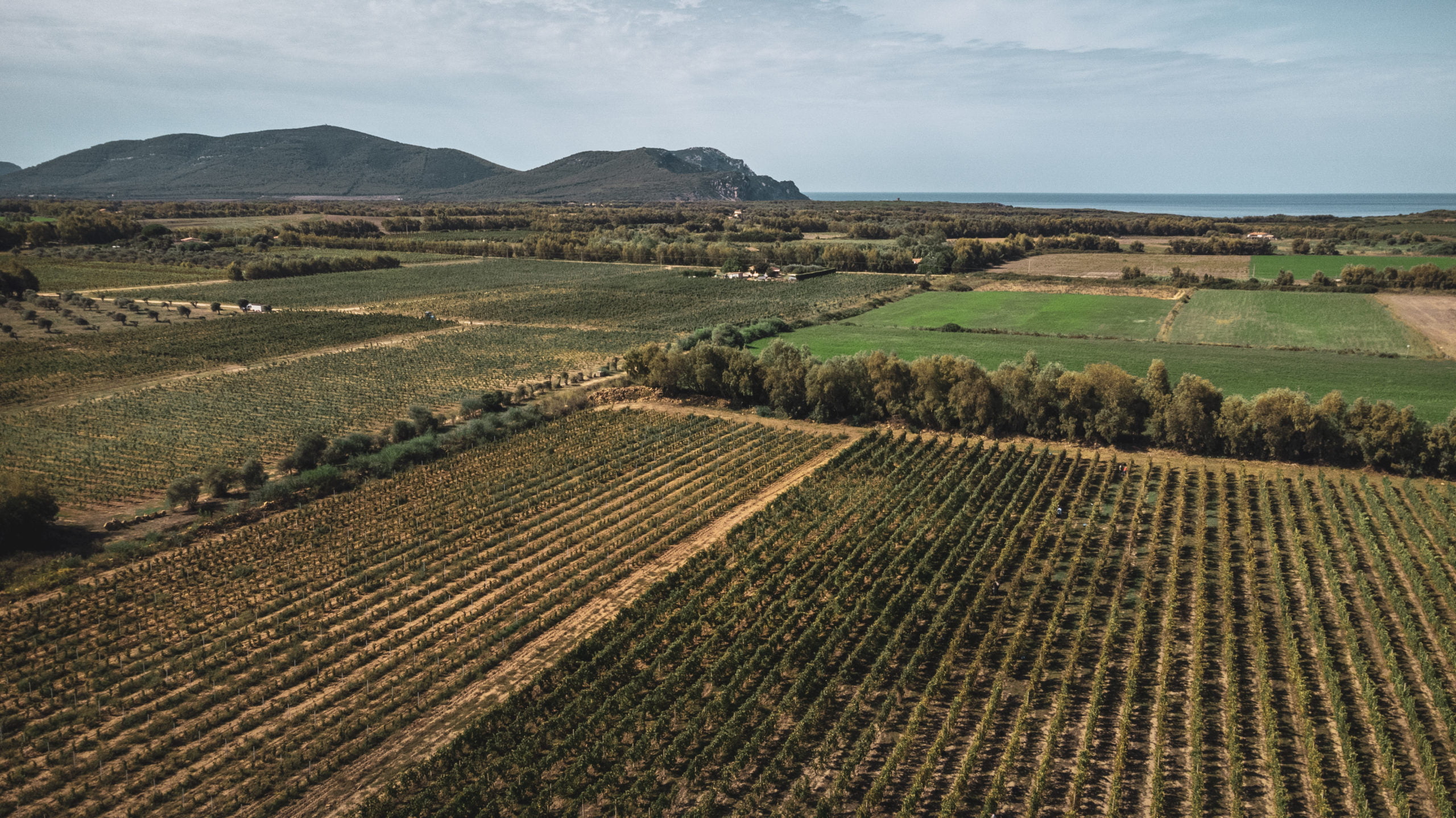 Sardinia and its exceptional sparkling wines