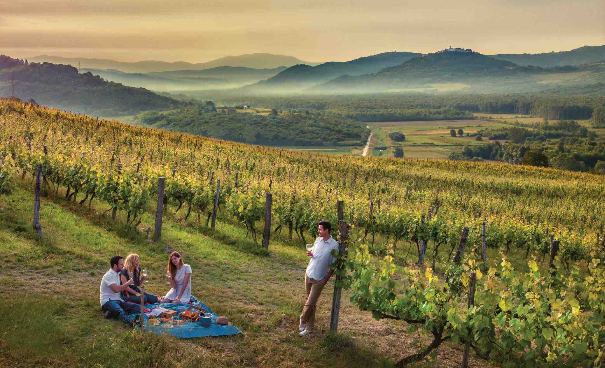 Wine Tourism in Croatia: a Conversation with the Director of the Croatian National Tourist Board