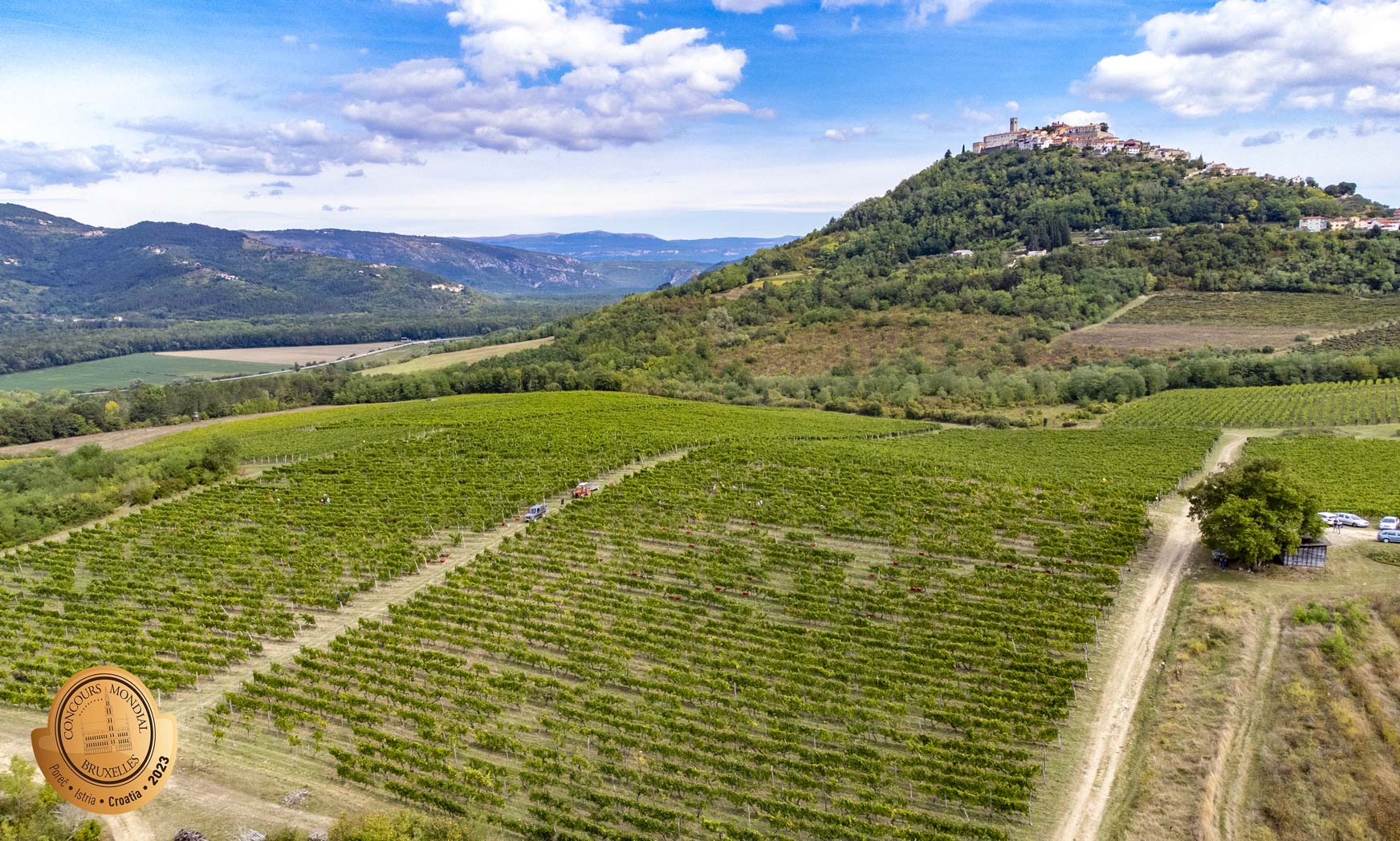“La Calabria non è più la cenerentola del vino, ma una terra con una forte e marcata identità produttiva.”
