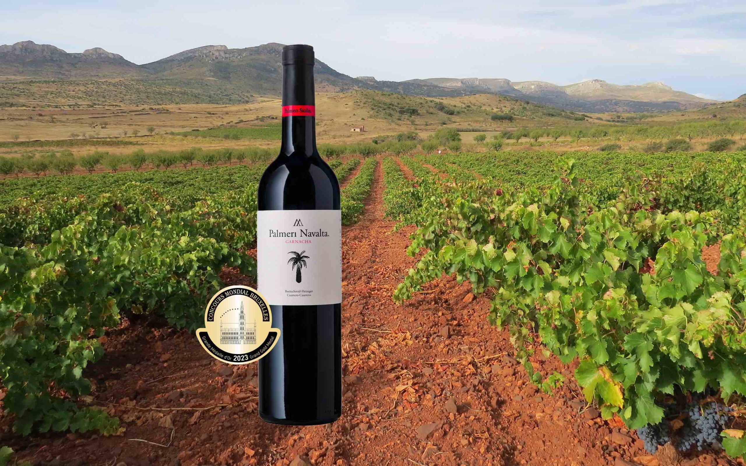 La garnacha española destaca como Vino Ecológico Revelación en el CMB 2023