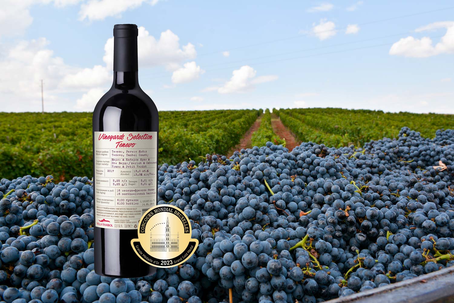 Le vin bulgare « Vineyards Selection Tenevo 2017 » remporte la Révélation internationale