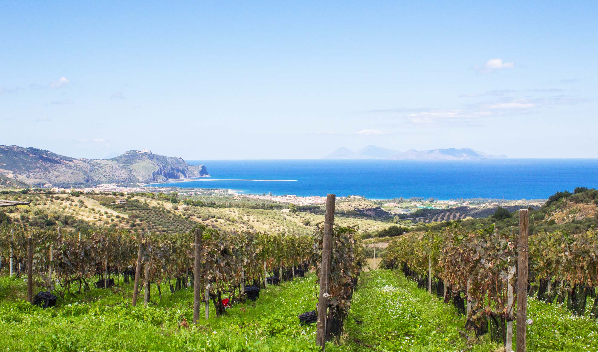 Marsala (Sicilia) acoge la primera Sesión de cata de Vinos Dulces y Generosos del Concours Mondial de Bruxelles