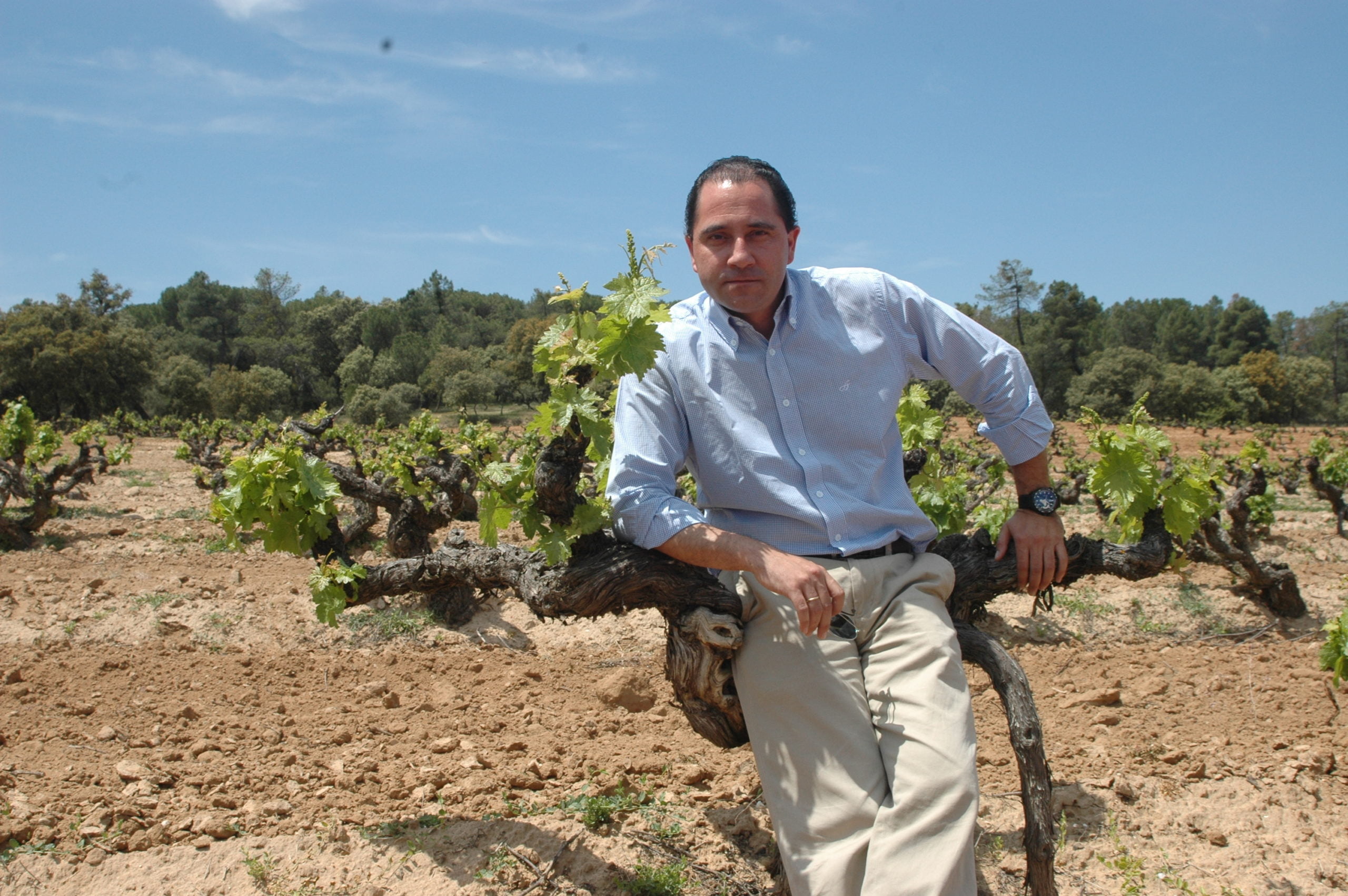 Los rosados de Valladolid protegen el patrimonio varietal de Castilla y León