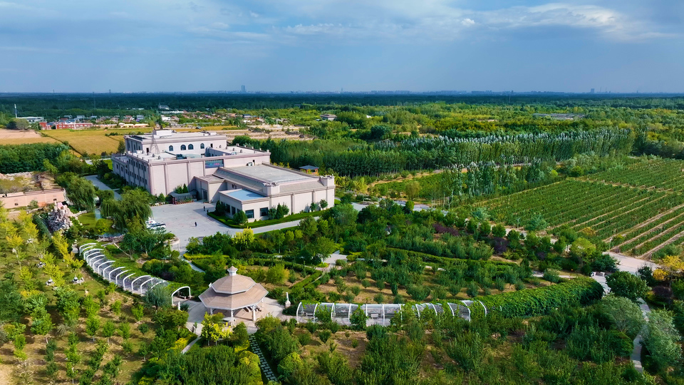 Les particularités du terroir de Ningxia