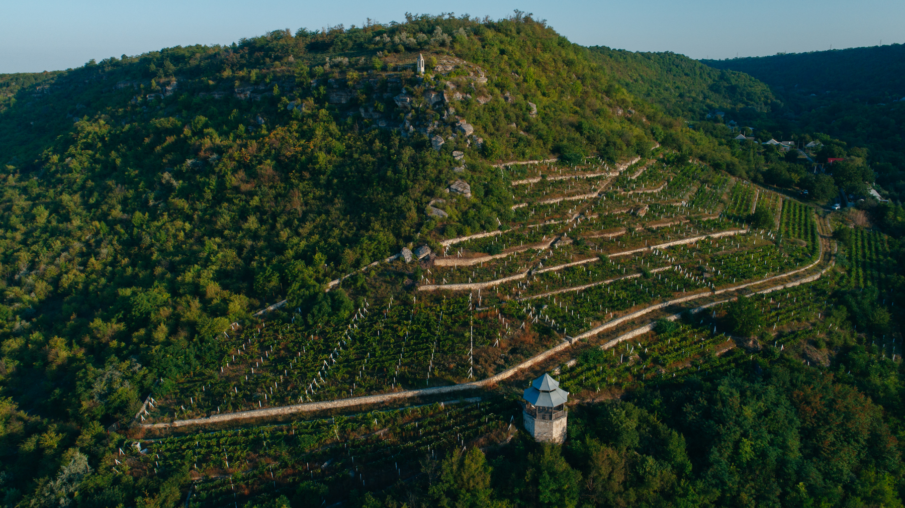 From Heritage to Headliner: Moldova’s Quiet Wine Revolution