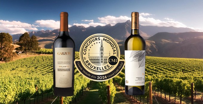 An Uruguayan wine and a Romanian wine are the international revelations of the CMB Red & White Wines Session